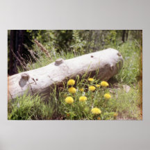 A countryside view poster