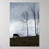 A Cow Eating Grass On The Hill With Naked Trees Poster
