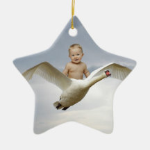 A cute baby and swan fantasy ornaments