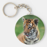 A cute baby tiger keychains