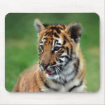 A cute baby tiger mouse pads