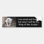 A cute baby white lion bumper stickers