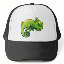 A cute chameleon lizard