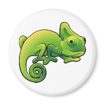 A cute chameleon lizard