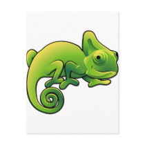 A cute chameleon lizard
