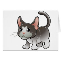 A cute domestic cat greeting card