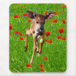 A cute little baby Nyala's joy Mouse Pad