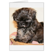 A Cute Shih Tzu Pup makes this product adorable Greeting Card