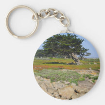 A Cypress On Ocean View Key Chains