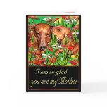 A Dachshund Mother's Day Greeting Cards
