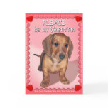 A Dachshund Puppy's Wish for Valentines Day