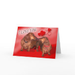 A dachsund Valentines Day