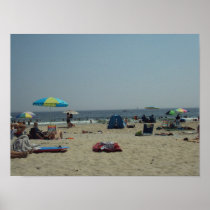 A Day At The Beach