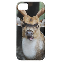 a deer iPhone 5 case