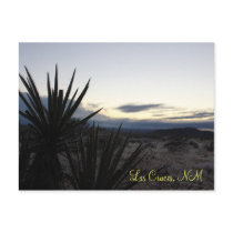 A Desert Dusting Post Cards