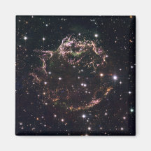 A detailed view at the tattered remains fridge magnet