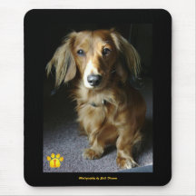 A Distinguished Dachshund Mousepad