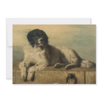 A Distinguished Member of the Humane Society Personalized Invite