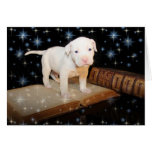 A Dog Is For Life, Not Just For Christmas Greeting Card