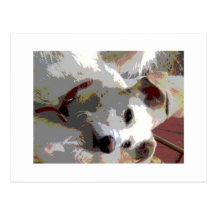 A dogs LIFE Cartes Postales