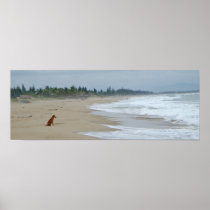 A Dogs Life Print