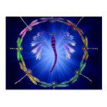 A Dragonfly Dance Post Card