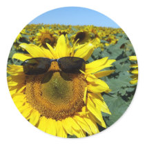 A Face in the Crowd Round Stickers