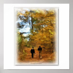 A Fall Walk in the Woods