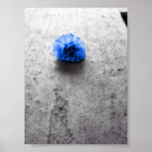 A fallen Flower Print