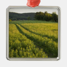 A farm road in Sabins Pasture in Montpelier, Christmas Ornaments