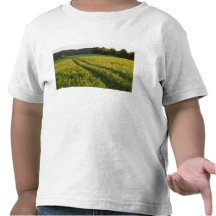 A farm road in Sabins Pasture in Montpelier, Tee Shirt