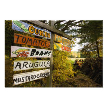A farm stand in Holderness, New Hampshire. Photo