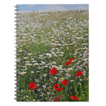 A farmland field of white ox-eyed daisies and spiral note book
