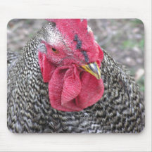 A Fine Feathered Face Mouse Pad