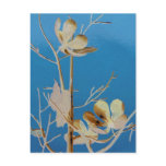 A Flowering Tree The Court Yard of Wonders Post Cards