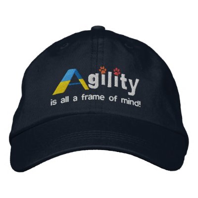 A-Frame of Mind Embroidered Hat (Dark) by MenagerieMayhem