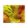 A friend is someone who knows the son... postcards