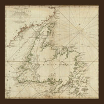 A General Chart Of The Island Of Newfoundland posters