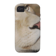 A gentle lion vibe iPhone 4 case