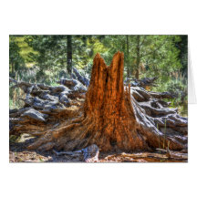 A Giants Remains Greeting Cards