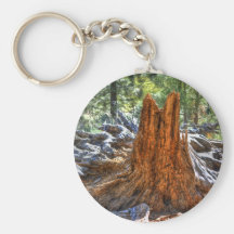 A Giants Remains Keychains
