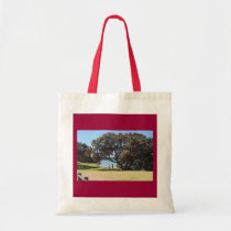 A God of Peace (1 Corinthians 14:33) bags