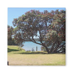 A God of Peace (1 Corinthians 14:33) Refrigerator Magnet
