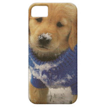 a golden lab puppy on iphone 5 case