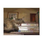 A Good Book Postcard