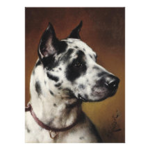 A Great Dane Invitation