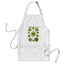 A Green Algae Aprons