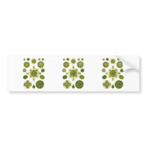 A Green Algae Bumper Sticker