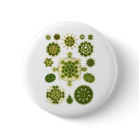 A Green Algae Button