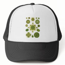 A Green Algae Mesh Hats